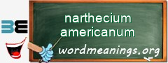 WordMeaning blackboard for narthecium americanum